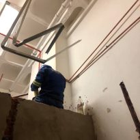 FB_IMG_1755269236467