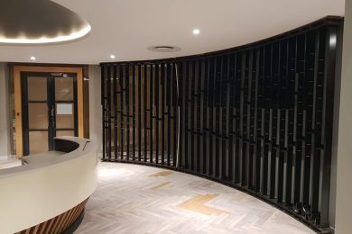 Ceiling Installations